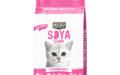 Soya Clump Cat Litter 2.5kg, Cats Litter, KimVet e-Shop, Kit Cat