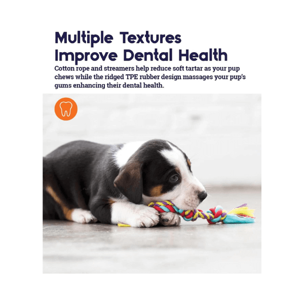 SHOP BY CATEGORY - 03 DOGS - KIMVET ONLINE STORE - DOG PRODUCTS - Vetshop Near Me - dog toys - mini dental chew pack - petstages 3