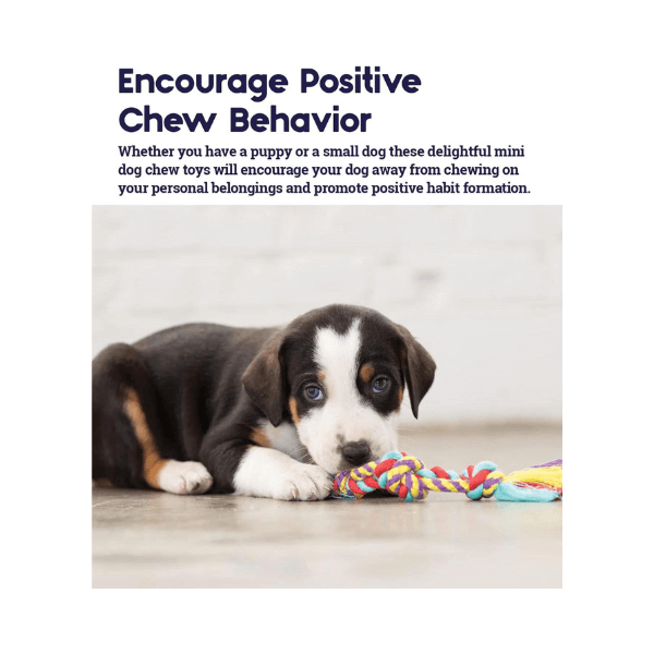 SHOP BY CATEGORY - 03 DOGS - KIMVET ONLINE STORE - DOG PRODUCTS - Vetshop Near Me - dog toys - mini dental chew pack - petstages 4