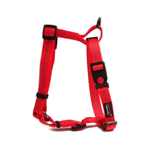 Red Reflective Webbing H Dogs Harnesses, KimVet e-Shop, Dog's Life