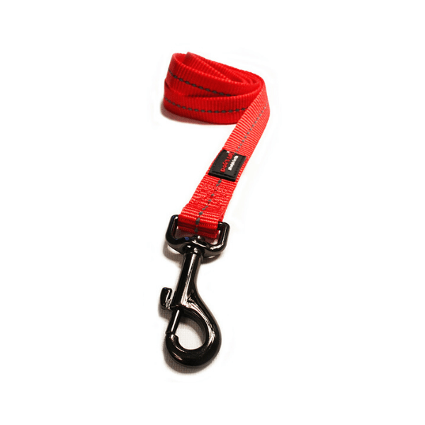 Red Reflective Webbing Dogs Leads, KimVet e-Shop, Dog's Life