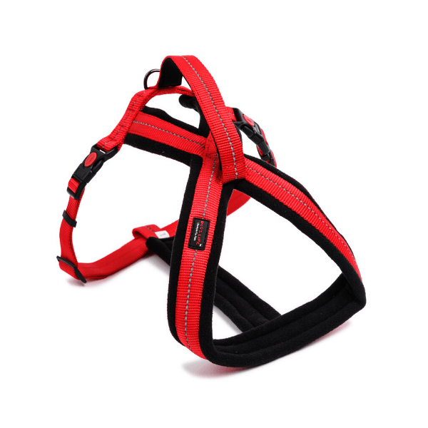 Red Outdoors & Adventure Dog Harnesses, KimVet e-Shop, Dog’s Life