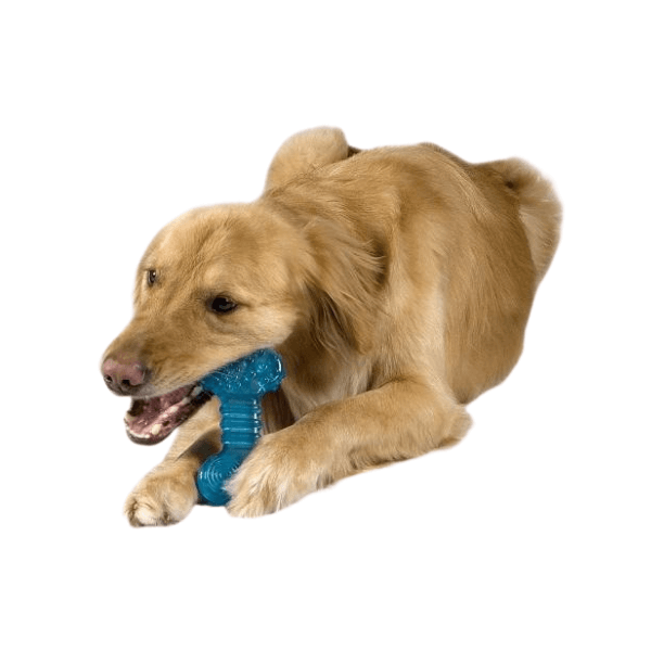 Petstages best sale orka bone