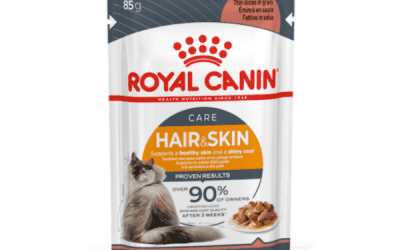 Adult Hair & Skin Gravy 85g, Cats Food, KimVet e-Shop, Royal Canin