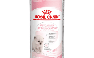 Kitten Babycat Milk 300g, Cats Food, KimVet e-Shop, Royal Canin