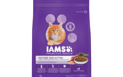 Kitten & Mother Chicken, Cats Food, KimVet e-Shop, Iams