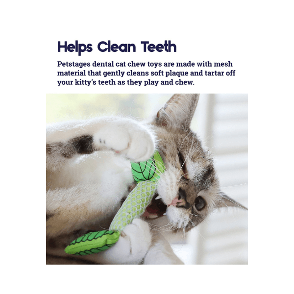 SHOP BY CATEGORY - 02 CATS - KIMVET ONLINE STORE - CAT PRODUCTS - Vetshop Near Me - cat toys - fresh breath mint stick - petstages 3