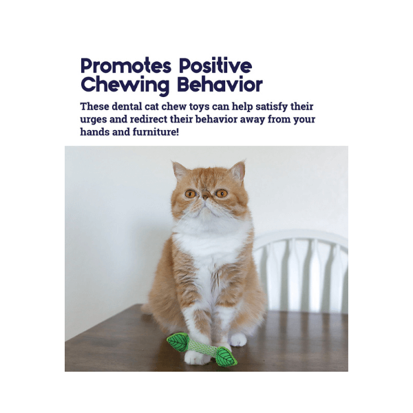 SHOP BY CATEGORY - 02 CATS - KIMVET ONLINE STORE - CAT PRODUCTS - Vetshop Near Me - cat toys - fresh breath mint stick - petstages 5