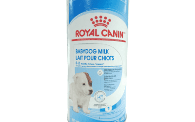 Babydog Milk, Dogs Food, KimVet e-Shop, Royal Canin