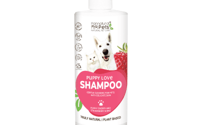 Shampoo Puppy Strawberry 500ml, Dogs/Cats Shampoo, KimVet e-Shop, Pannatural Pets