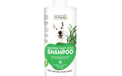 Shampoo Itchy Relief 500ml, Dogs Grooming, KimVet e-Shop, Pannatural Pets