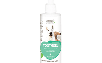 Toothgel 250ml, Dogs Grooming, KimVet e-Shop, Pannatural Pets