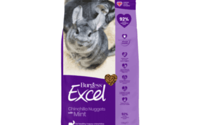 Chinchilla Nuggets With Mint 1.5kg, Small Mammals Food, KimVet e-Shop, Burgess Excel