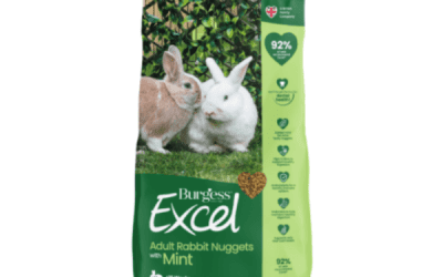 Adult Rabbit Nuggets with Mint, Small Mammals Food, KimVet e-Shop, Burgess Excel