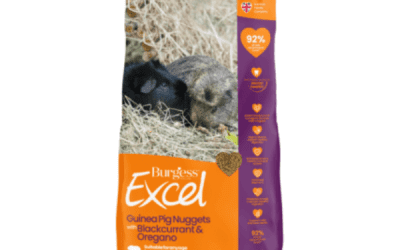 Guinea Pig Nuggets with Blackcurrant & Oregano 1.5kg, Small Mammals Food, KimVet e-Shop, Burgess Excel