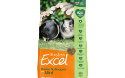 Guinea Pig Nuggets with Mint 1.5kg, Small Mammals Food, KimVet e-Shop, Burgess Excel