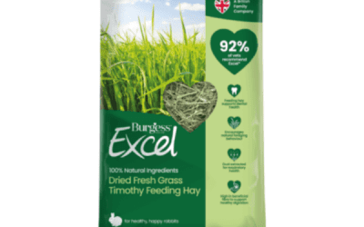 Hay Dried Fresh Grass 1kg, Small Mammals Food, KimVet e-Shop, Burgess Excel