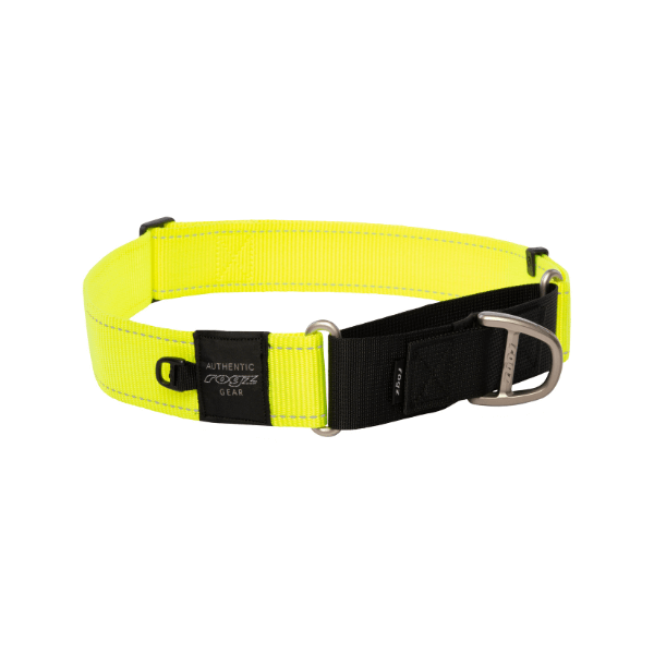 Rogz Utility Control Collar Web, Dayglo Reflective