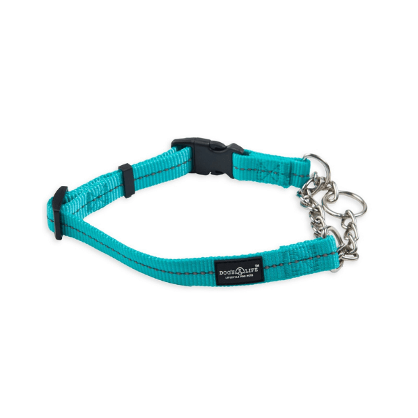 Reflective Martingale Chain Dog Collar Turquoise