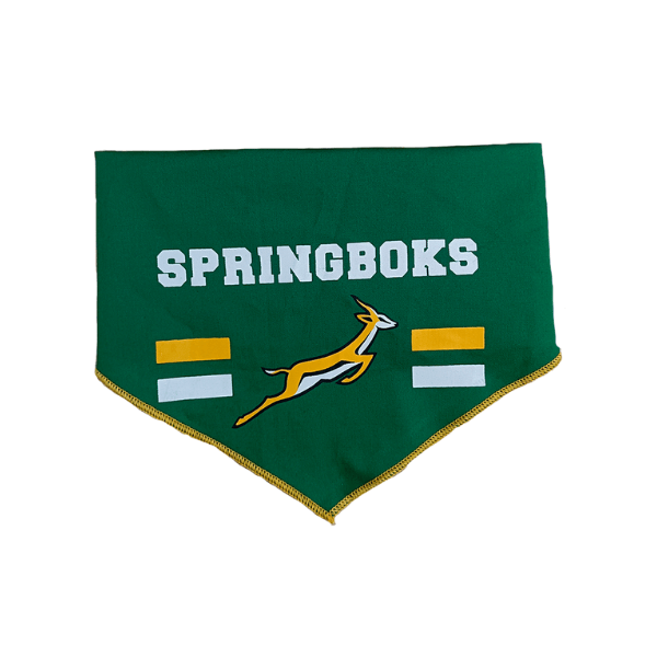 Bow Tie & Bandana Set Official Licensed Springboks