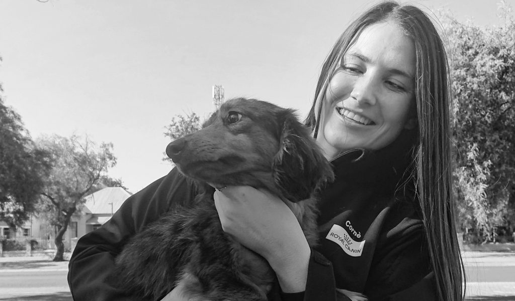 kimberley veterinary clinic staff member holding a dog outside hospital