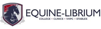 equine-librium website logo physiotherapy