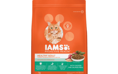 Adult Chicken & Salmon, Cats Food, KimVet e-Shop, Iams