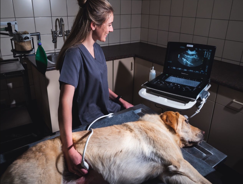 5 our-in-house-lab-services KIMVET SERVICE -ge-versana-active-veterinary-ultrasound-scanner