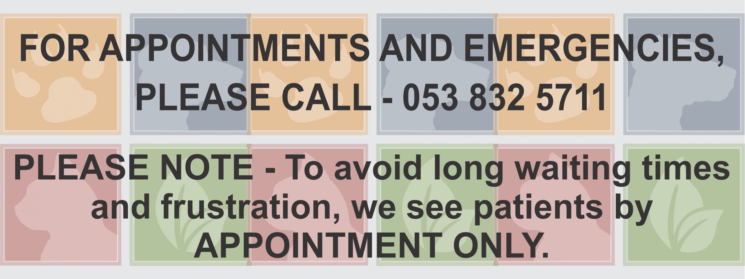 KIMVET Emergencies and Appointment Banner Image - Vet near me