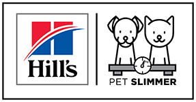 1 weight-loss-clinic-services- Hills Pet Slimmer Program - KIMVET SERVICE