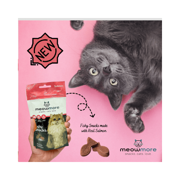 SHOP BY CATEGORY - 02 CATS - KIMVET ONLINE STORE - CAT PRODUCTS - Vetshop Near Me - cats treats - meow more fishy snacks - meow more 1