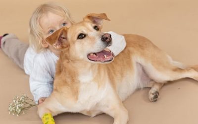 Here are the top dog breeds for families with small children: