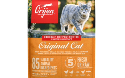 Adult Original, Cats Food, KimVet e-Shop, Orijen