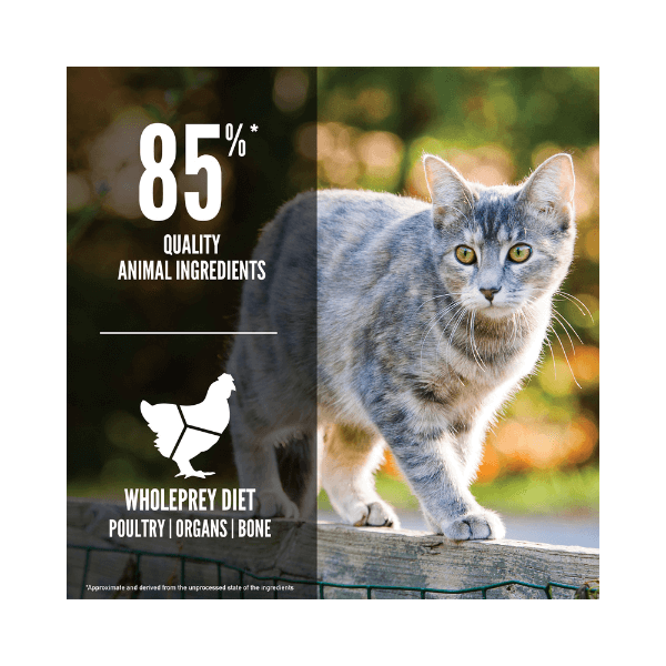 SHOP BY CATEGORY - 02 CATS - KIMVET ONLINE STORE - CAT PRODUCTS - Vetshop Near Me - adult original - cats food - orijen 5
