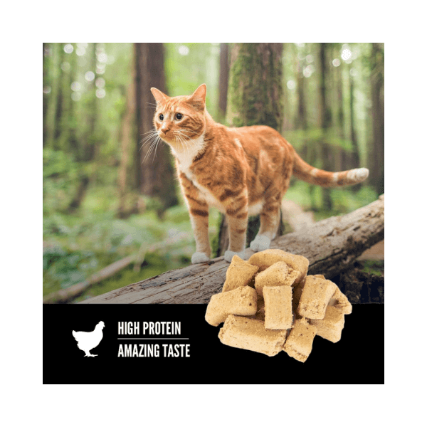 SHOP BY CATEGORY - 02 CATS - KIMVET ONLINE STORE - CAT PRODUCTS - Vetshop Near Me - original freezedried - cats treats - orijen 4