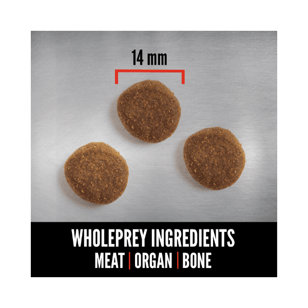 SHOP BY CATEGORY - 03 DOGS - KIMVET ONLINE STORE - DOG PRODUCTS - Vetshop Near Me - adult original - dogs food - orijen 5