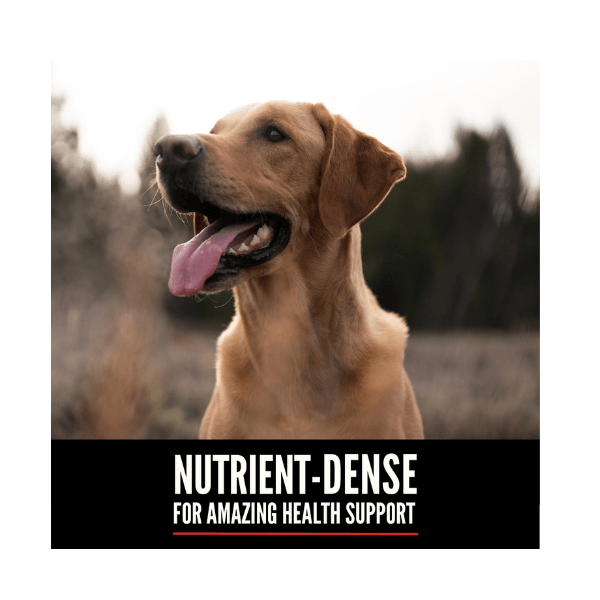 SHOP BY CATEGORY - 03 DOGS - KIMVET ONLINE STORE - DOG PRODUCTS - Vetshop Near Me - adult senior - dogs food - orijen 4