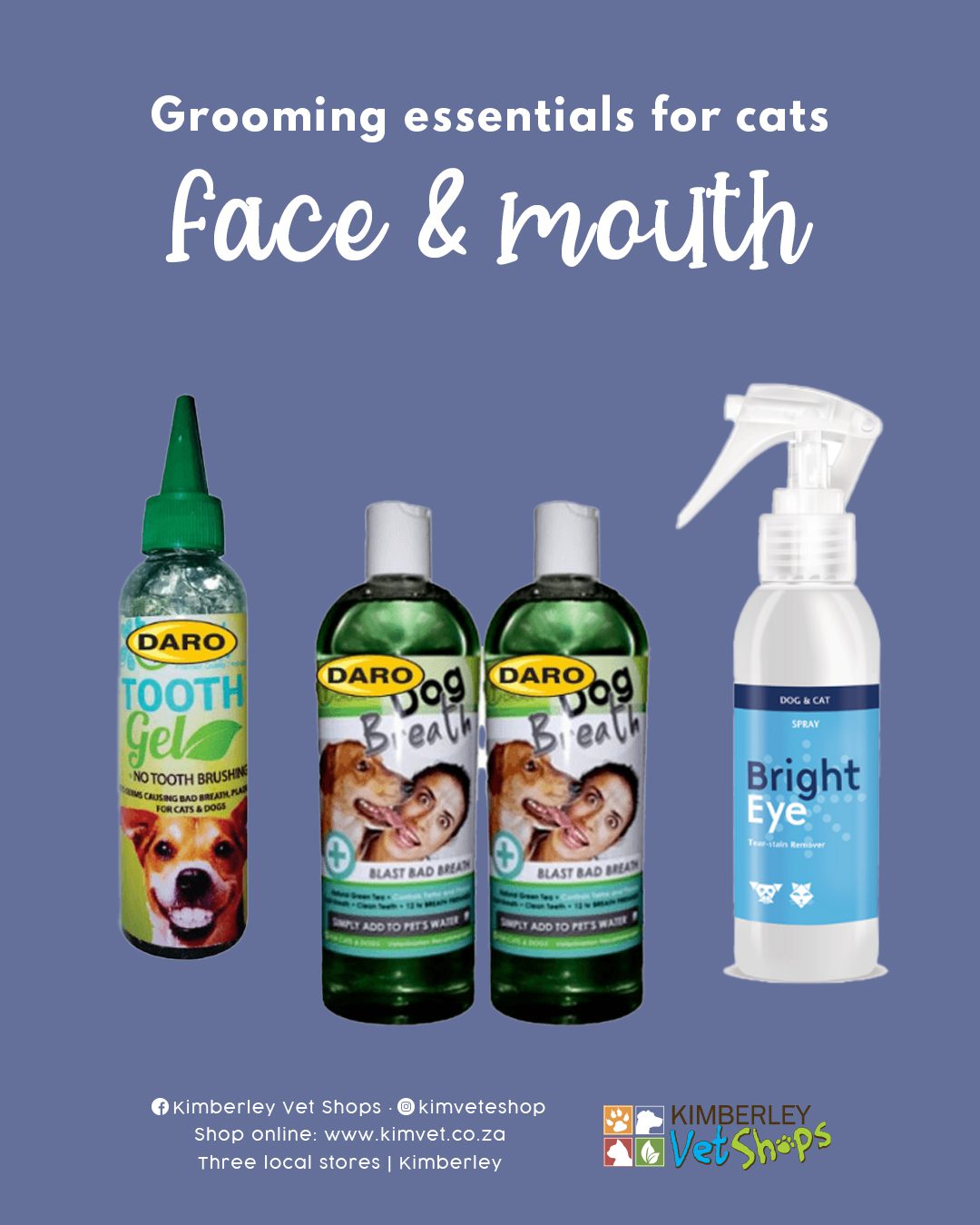 Grooming essentials for cats you should own - Face and Mouth