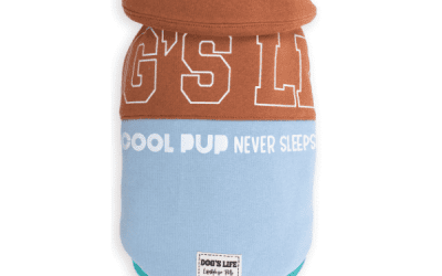 Cool Pup Never Sleeps Cape Brown, Dogs Clothing, KimVet e-Shop, Dog’s Life