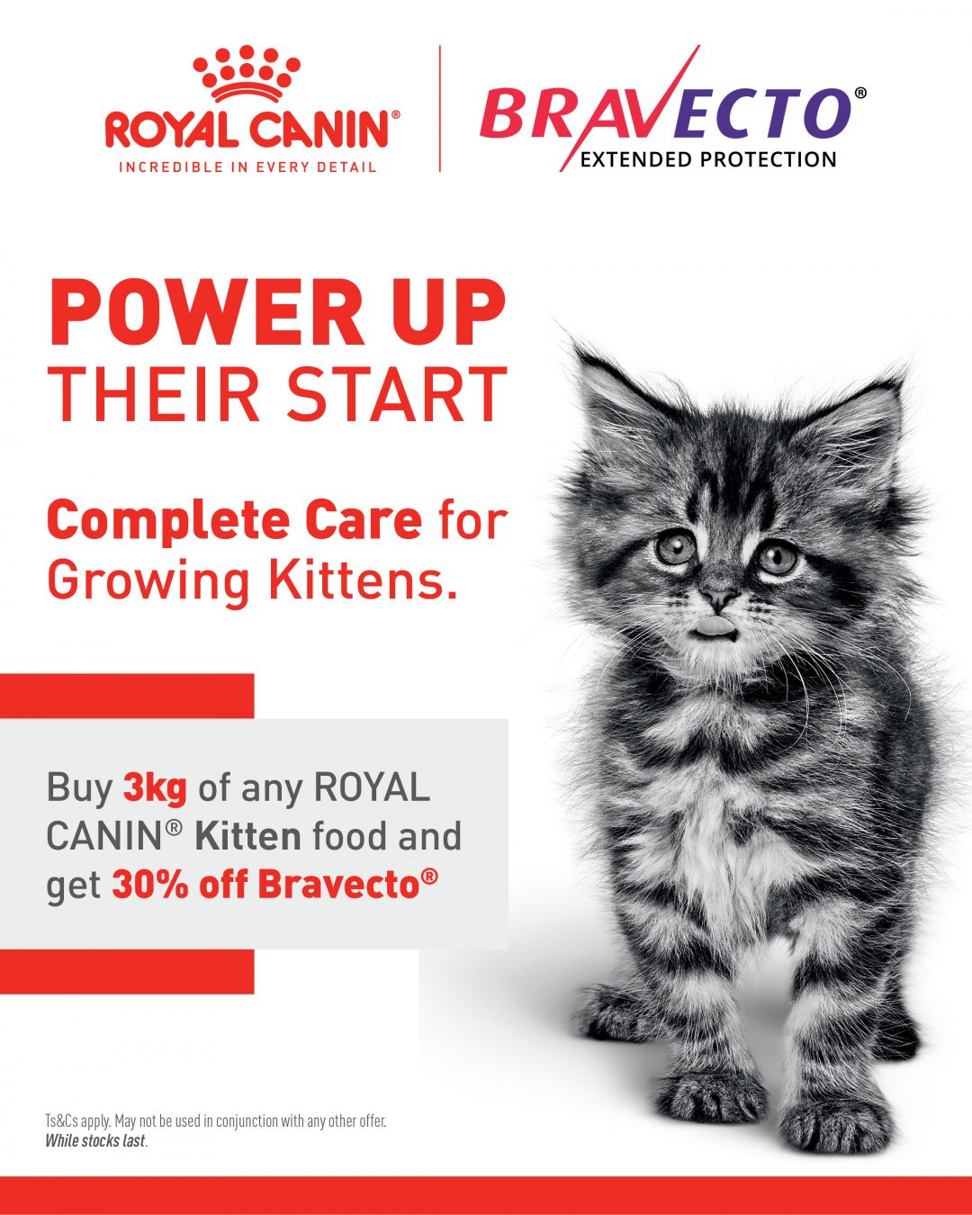 Royal Canin – Bravecto Promotion – ends 30 June 2025
