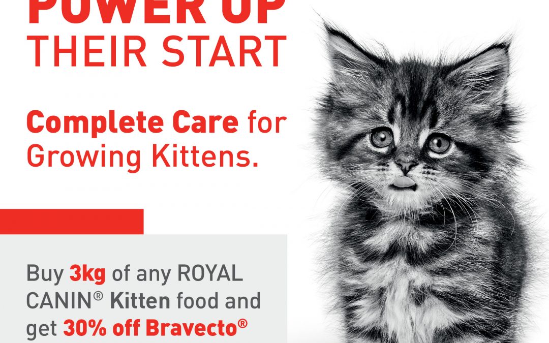 Royal Canin – Bravecto Promotion – ends 30 June 2025
