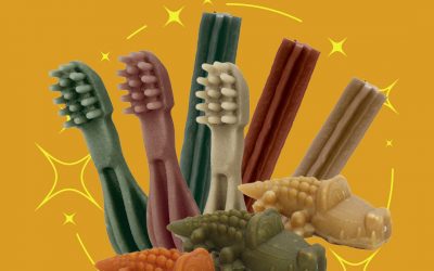Fun New Whimzee’s Stix Shapes – a new love of “brushing”!