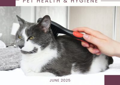 Pet Health and Hygiene – Pamper and Protect Promotion – ends 29 June 2025.