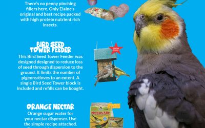 Our Top Products For: Your Feathered Friends