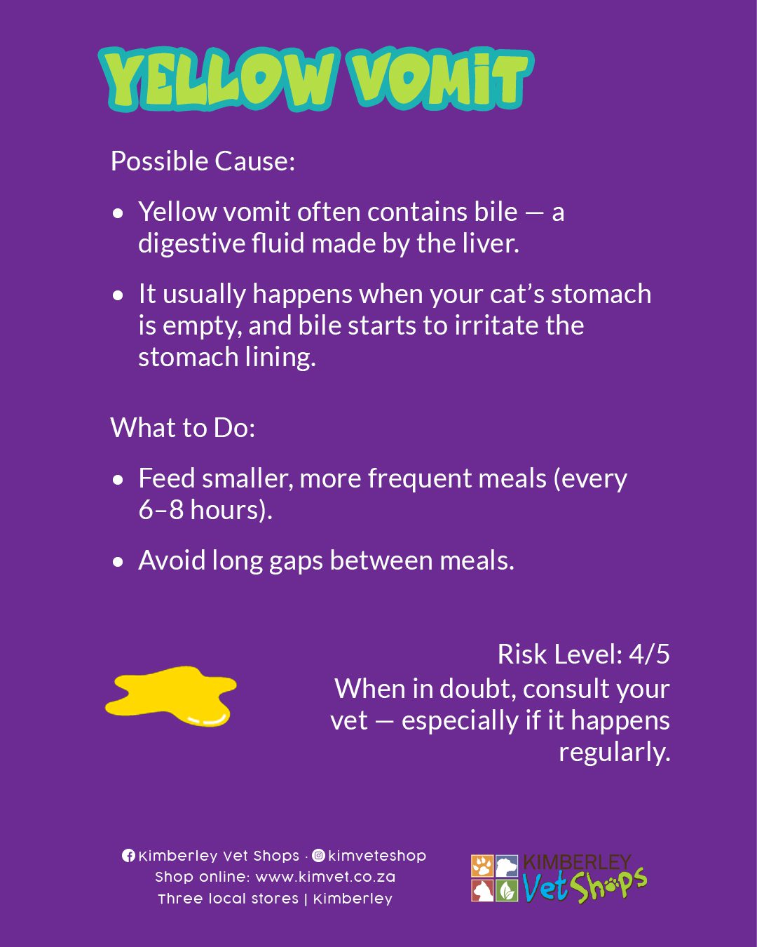 Types of Cat Vomit — and When to See the Vet 2