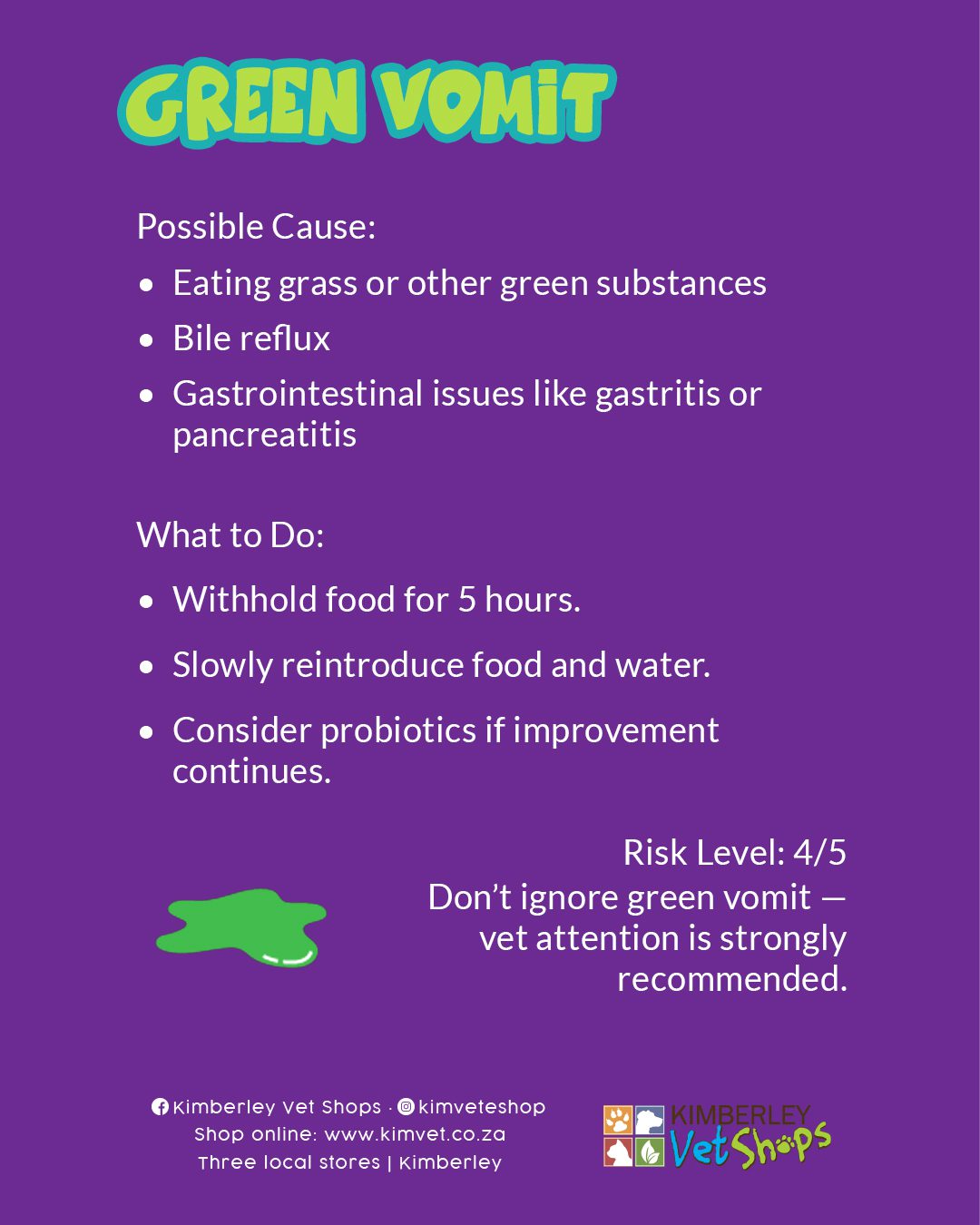 Types of Cat Vomit — and When to See the Vet 4