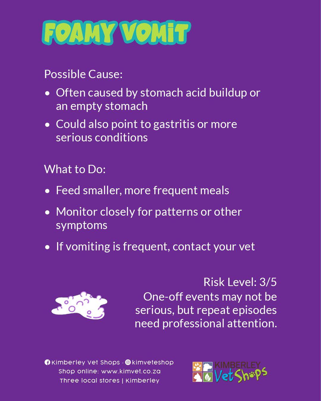 Types of Cat Vomit — and When to See the Vet 5