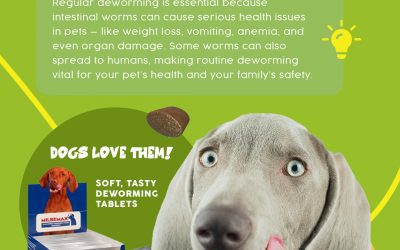 Milbemax Mushy Chews: South Africa’s Top-Selling Dewormer for Dogs