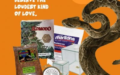 Reptile lovers — everything your cold-blooded buddy needs. Just because they’re quiet, doesn’t mean they don’t deserve the loudest kind of love.