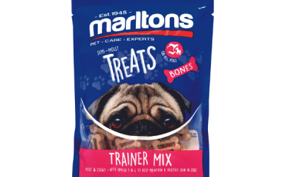 Healthy Snacks Your Pets Will Love